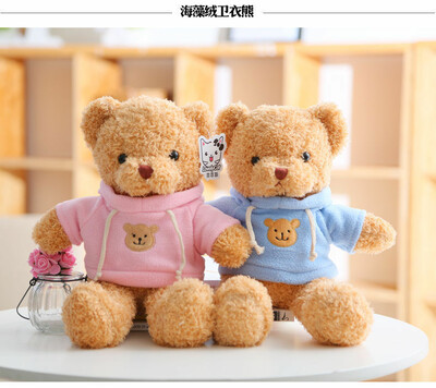 Assorted Little Bear Plush Toys (1)