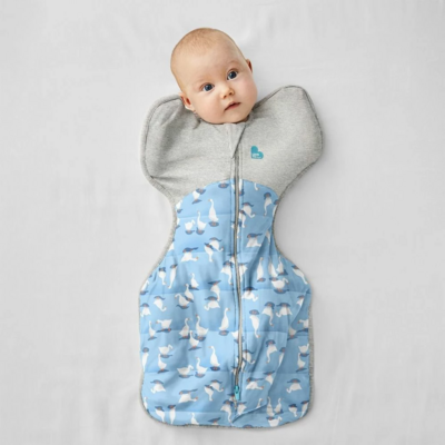 Love To Dream Swaddle Up Warm 2.5 TOG – Silly Goose Blue (1)
