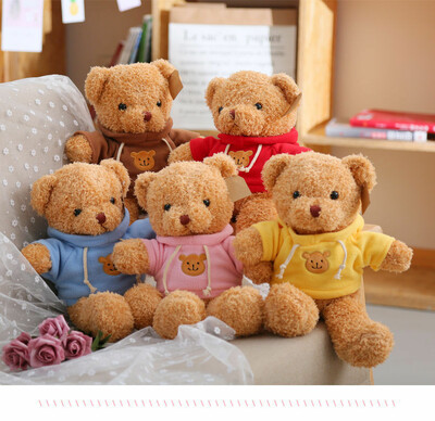 Assorted Little Bear Plush Toys (2)