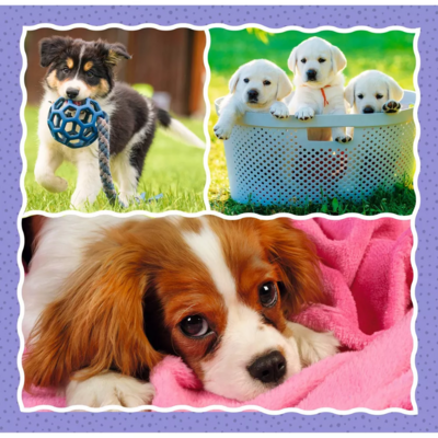 Trefl 3 in 1 Puzzle - Lovely Dogs (3)