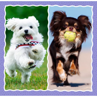 Trefl 3 in 1 Puzzle - Lovely Dogs (4)