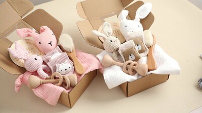 Newborn Baby 6 Piece Giftbox - Bunny Pink (3)