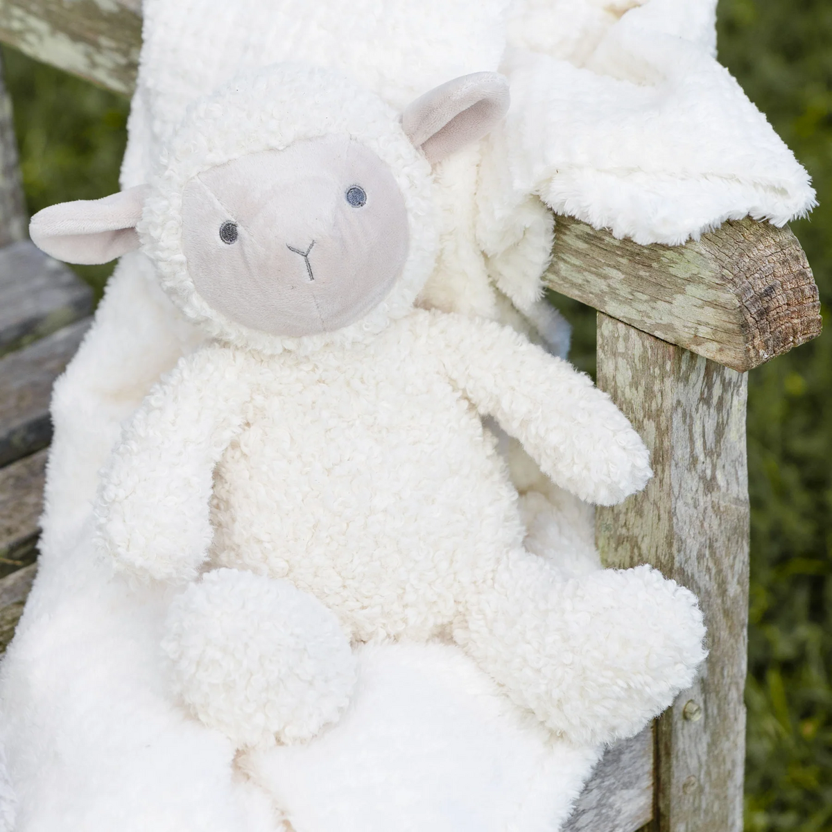 little lamb plush toy.png